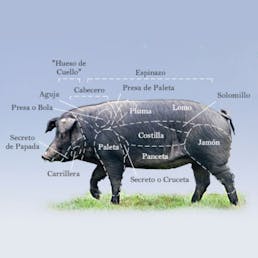 Boneless Fermin Iberico de Bellota Paleta - 5.5 lbs.
