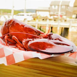 Cooked 1.5 lb Lobster - 2 Pack