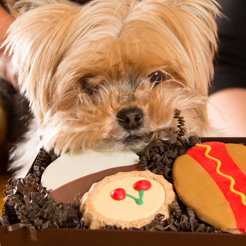 Carnegie Deli Dog Treats