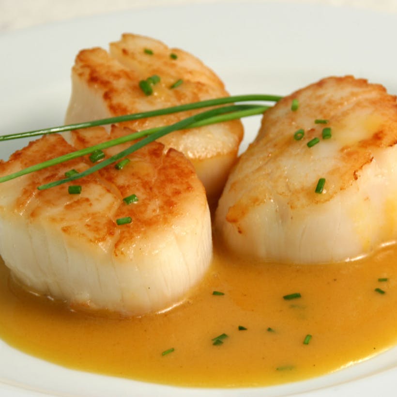 Maine Scallops