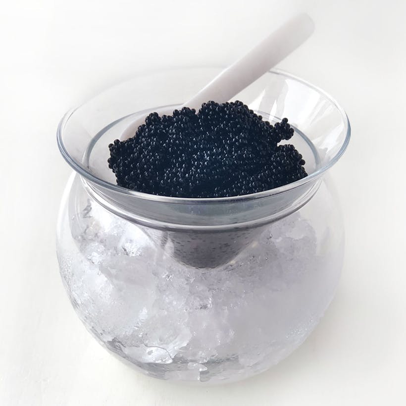 Caviar Server