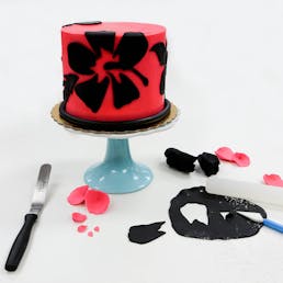 Texture DIY Cake Kit