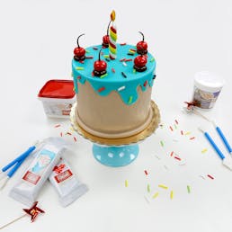 Bake Shoppe DIY Cake Kit