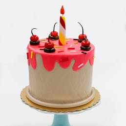 Bake Shoppe DIY Cake Kit