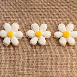 Daisy Sugar Cookies