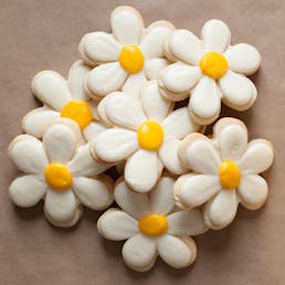 Daisy and Colored Egg Pack