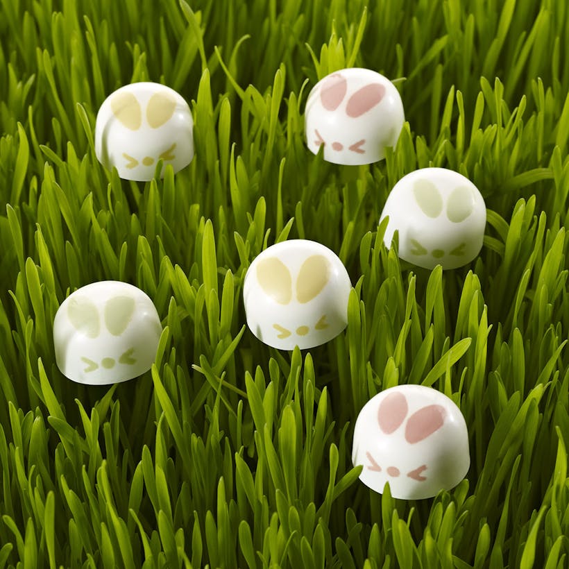 Cottontail Chocolate Bunnies
