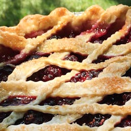 Blackberry Pie