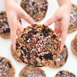 SPECIAL EDITION: Chocolate Chip Candy Cane Cookies - 12 Pack