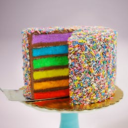 Chocolate Fudge Rainbow Cake