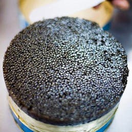 Imported Sevruga Caviar