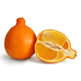Honeybell Oranges