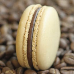 Signature Collection Macarons - 60 Pack