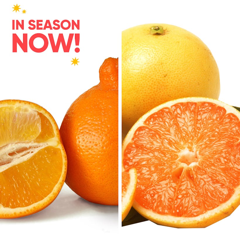 Honeybell Oranges & Ruby Red Grapefruit Combo