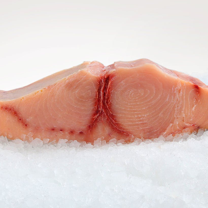 Fresh Swordfish
