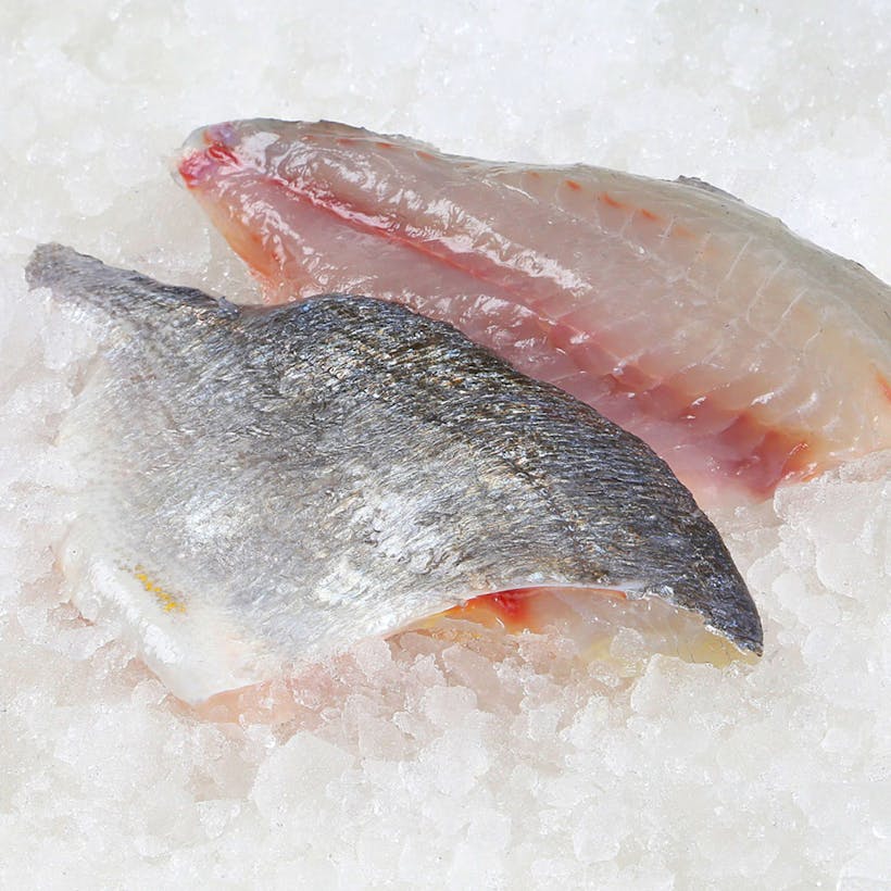 Fresh Dorade
