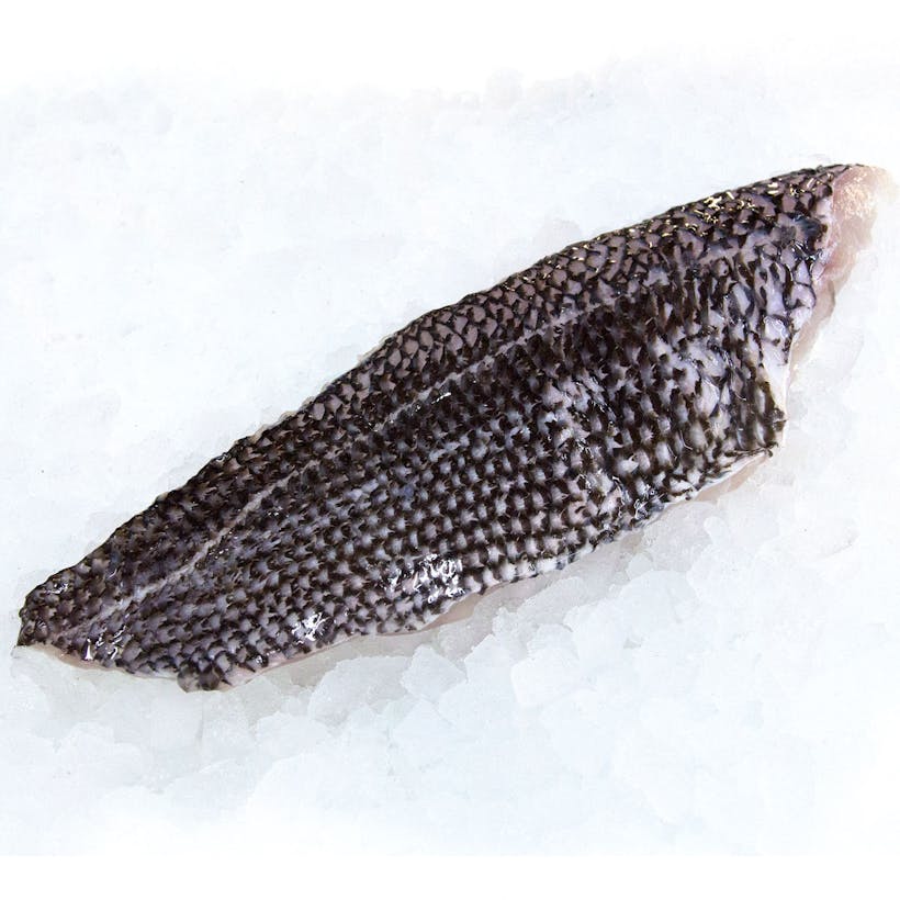 Fresh Black Sea Bass