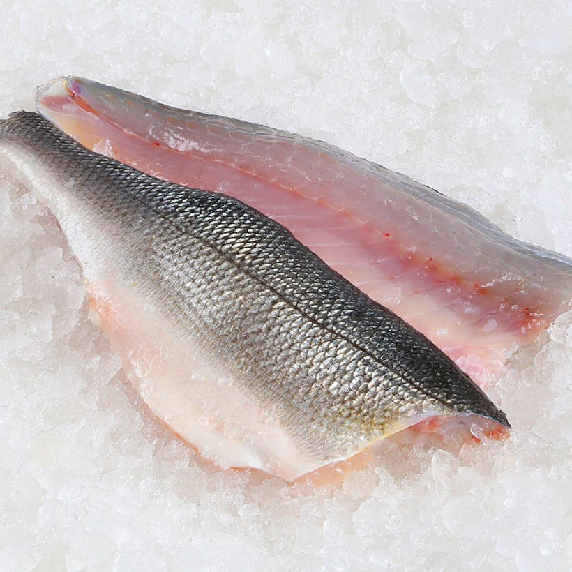 Fresh Bronzini