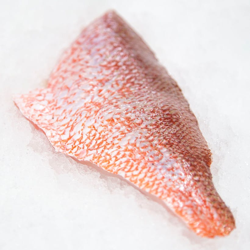 Fresh Red Snapper