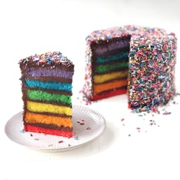 Chocolate Fudge Rainbow Cake