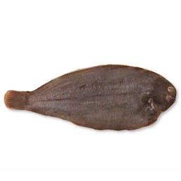 Whole Fresh Dover Sole - 2 Pack