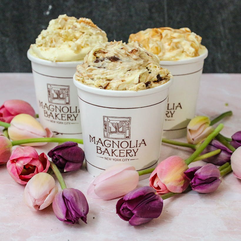 Chocolate Hazelnut & Caramel Banana Pudding Combo Pack