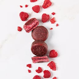 L'incontournable Chocolate Covered Macarons - Box of 12