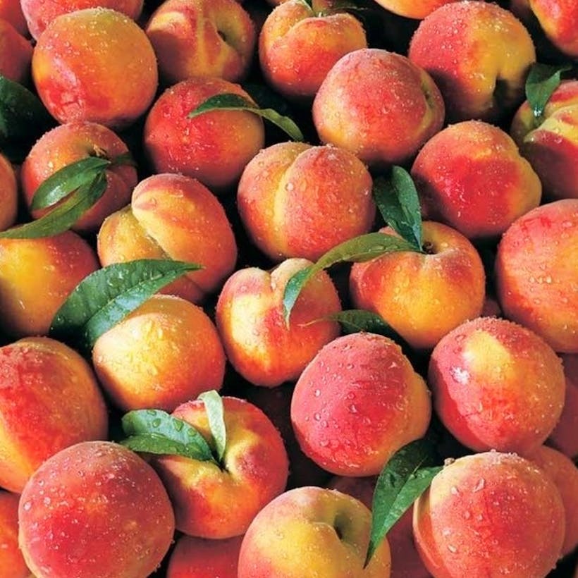 Georgia Peaches Gift Box - 13 Pack