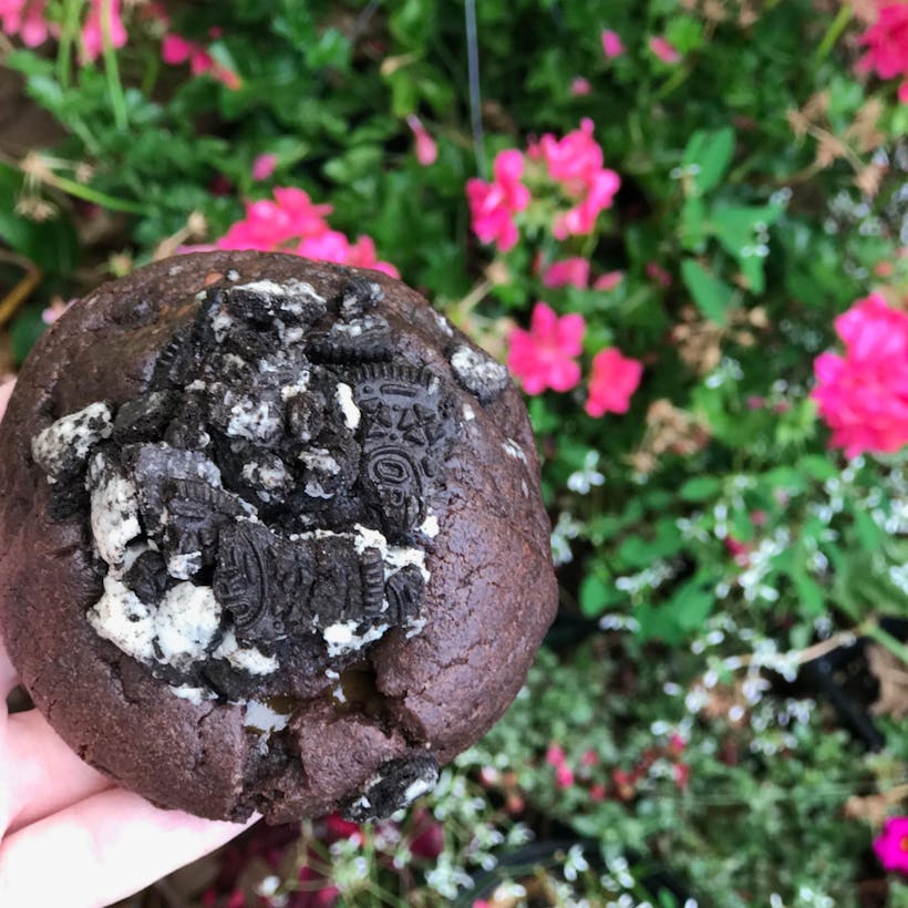 Oreo Mocha Mud Pie with Salted Caramel GIANT Cookie- 4 Pack