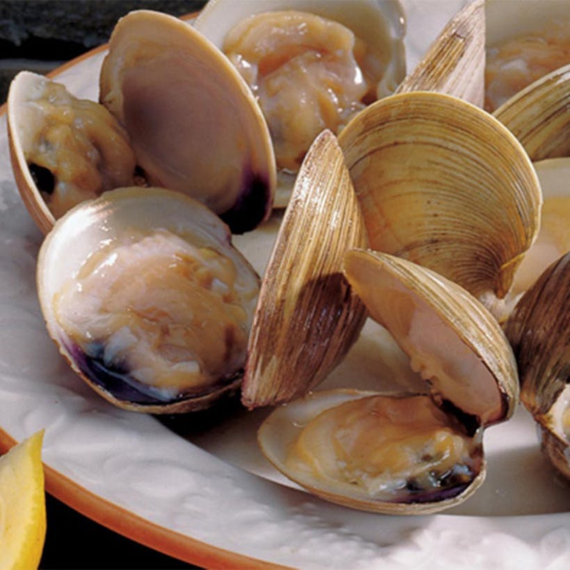 Littleneck Clams