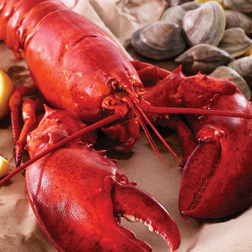 1.25 lb. Lobsters - 4 Pack