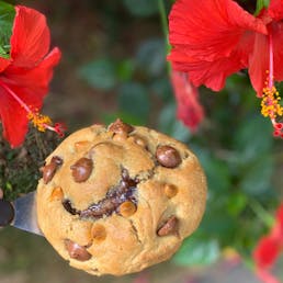 Becky Brookie Seasonal Giant Cookie - 4 Pack