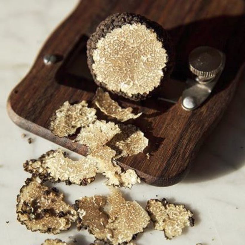 Fresh Summer Truffles - Tuber Aestivum Vittadini
