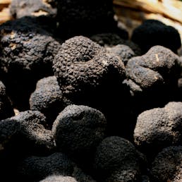 Fresh Summer Truffles - Tuber Aestivum Vittadini