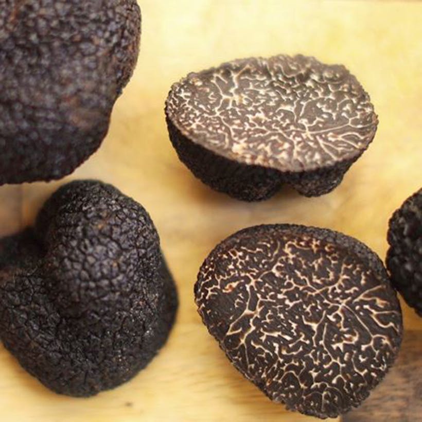 Fresh Australian Black Winter Truffles