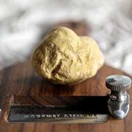 Fresh White Truffles - Tuber Magnatum Pico