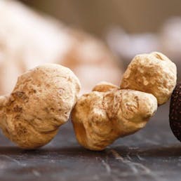 Fresh White Truffles - Tuber Magnatum Pico