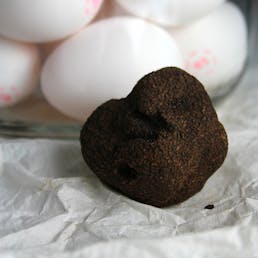 Frozen Black Winter Truffle Pieces - Tuber Melanosporum Vittadini