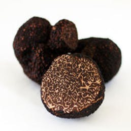 Frozen Black Winter Truffles Trimmings - Tuber Melanosporum Vittadini