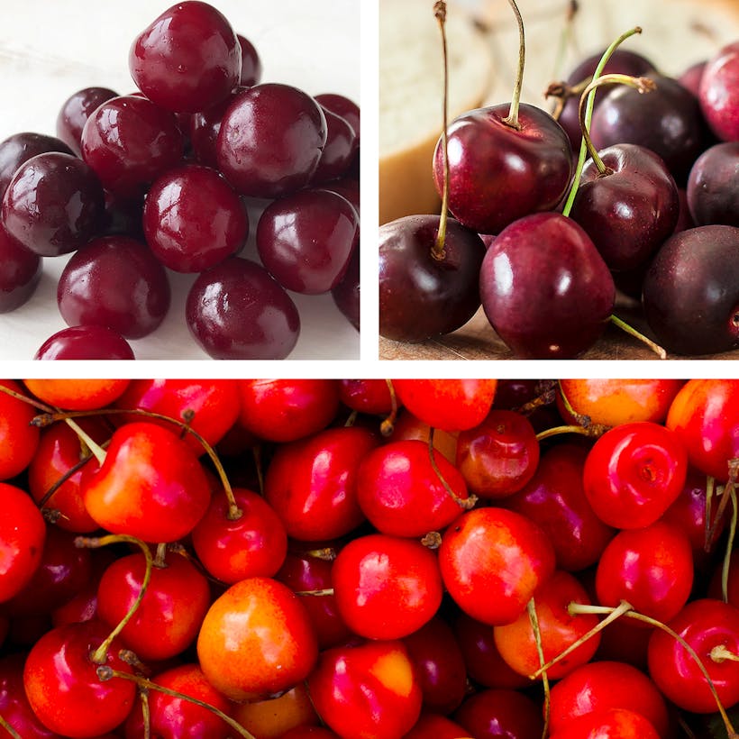Sweet, Light Sweet & Sour Michigan Cherries Combo - 9 lbs