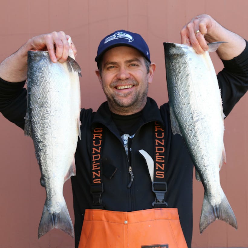 Fresh Whole Sockeye Salmon