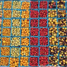 Farmer's Choice Heirloom Tomato Variety Pack - 3 lbs.
