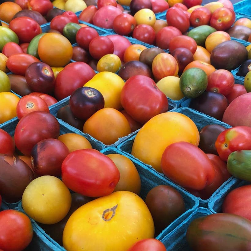 Farmer's Choice Heirloom Tomato Variety Pack - 3 lbs.