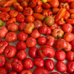 Red Heirloom Tomato Variety Pack - 3 lbs.