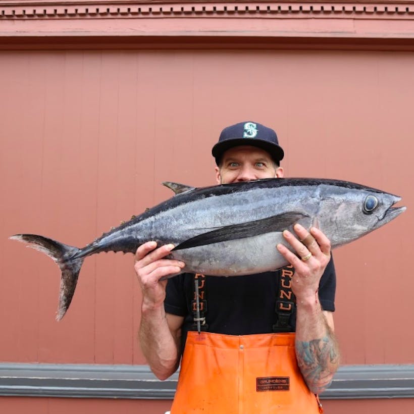 Albacore Tuna - Whole Fish, Fresh