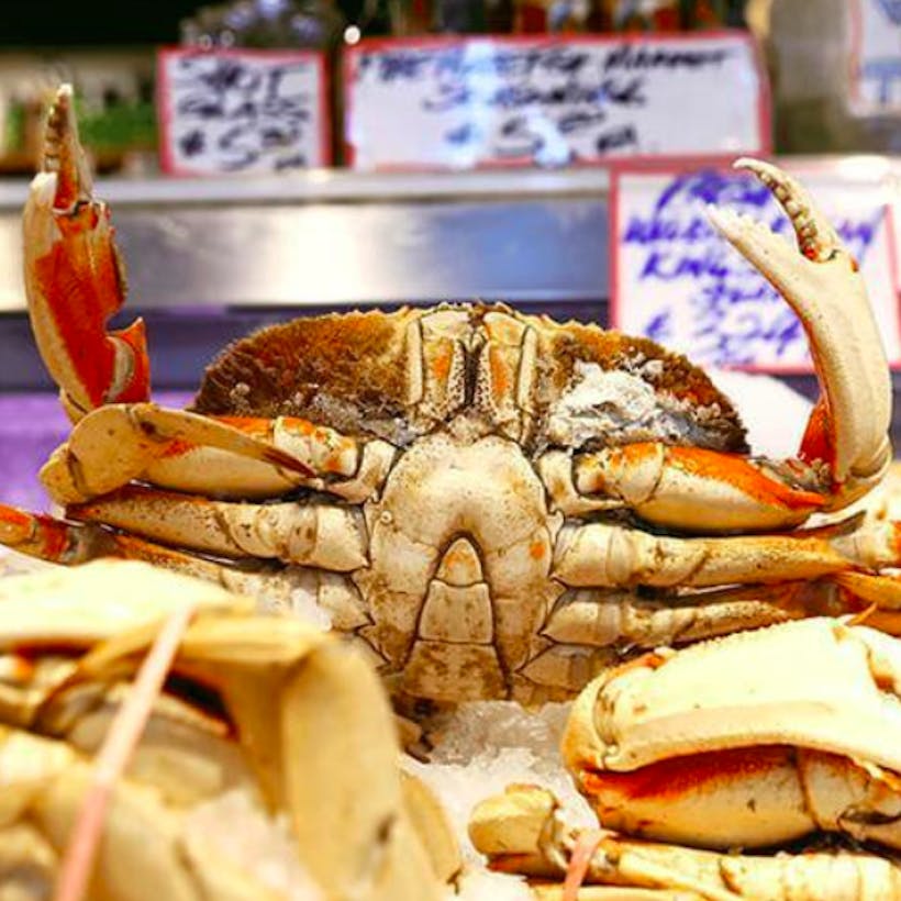 Dungeness Crab - 30 Pound Case