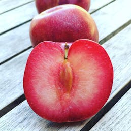 Organic Pluots