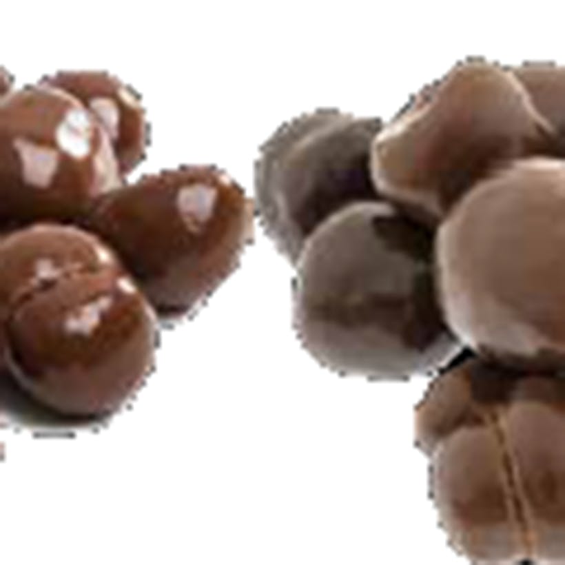 Sugar Free Chocolate Coated Peanuts & Bridge Mix
