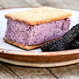 Ice Cream Sandwiches - 12 Pack
