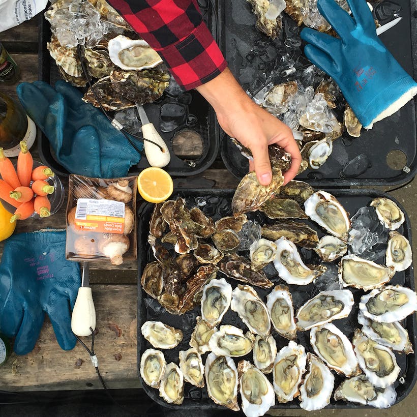 Rappahannock River Oysters - 75 Oyster Variety Pack